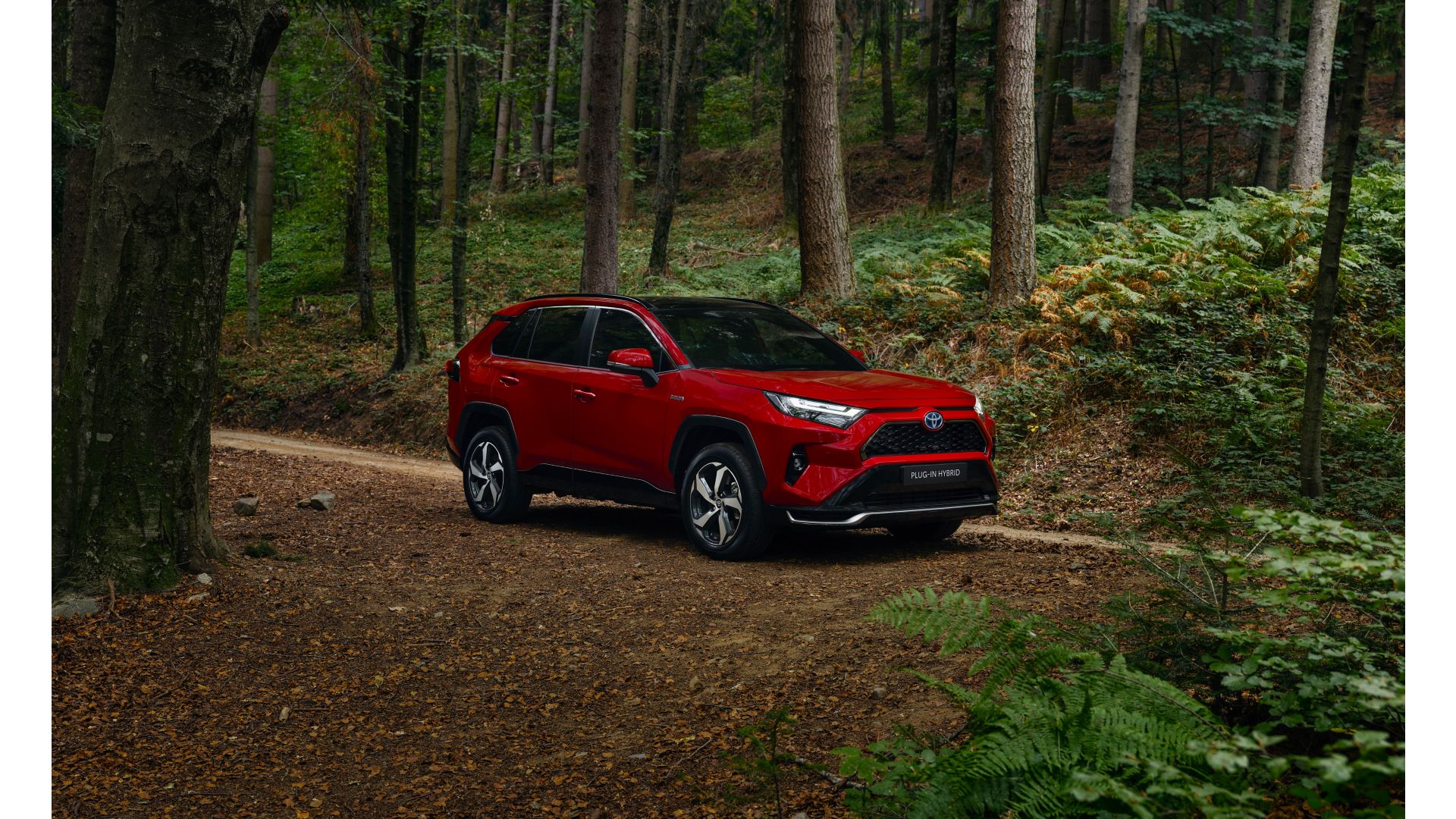 Toyota SUV Range | Learn more | Toyota Ireland